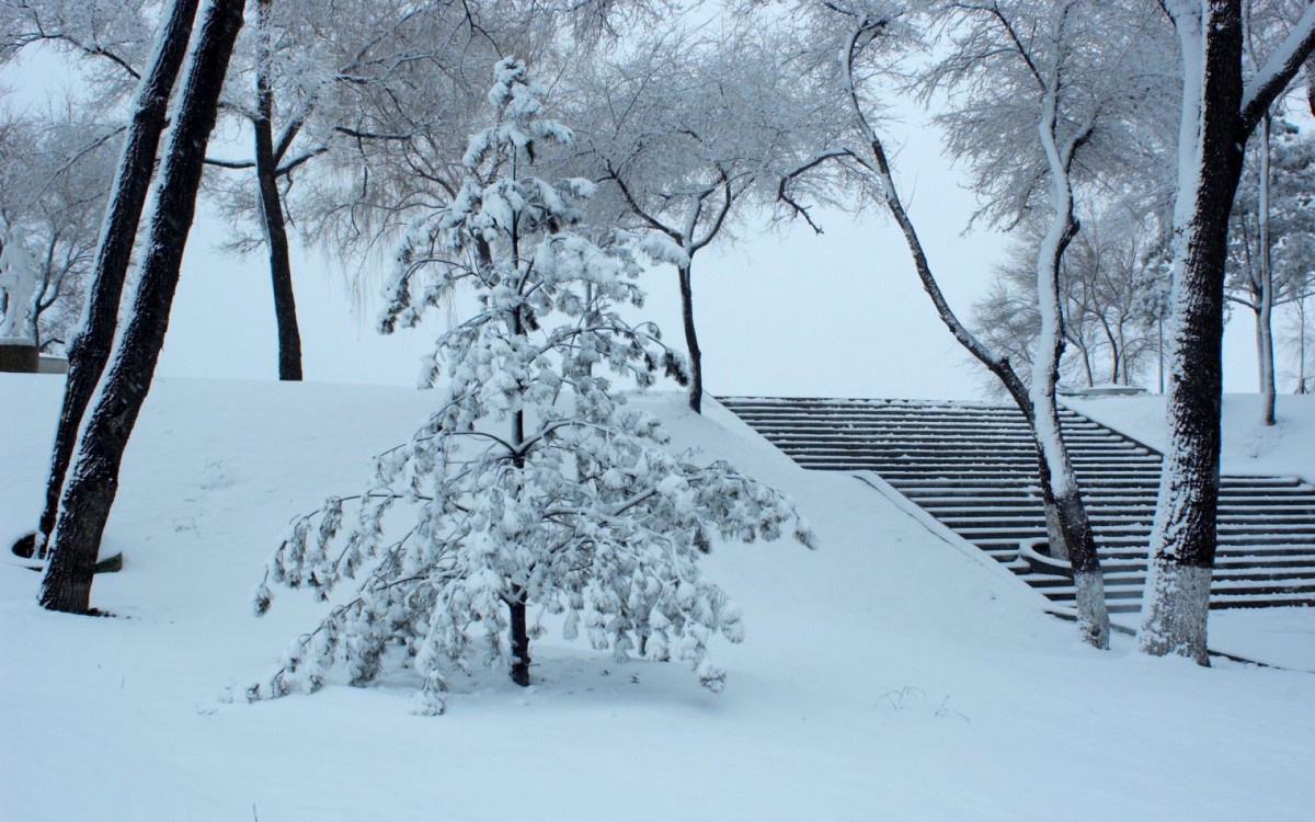 哈爾濱冬天雪景壁紙-風景壁紙-高清風景圖片-娟娟壁紙