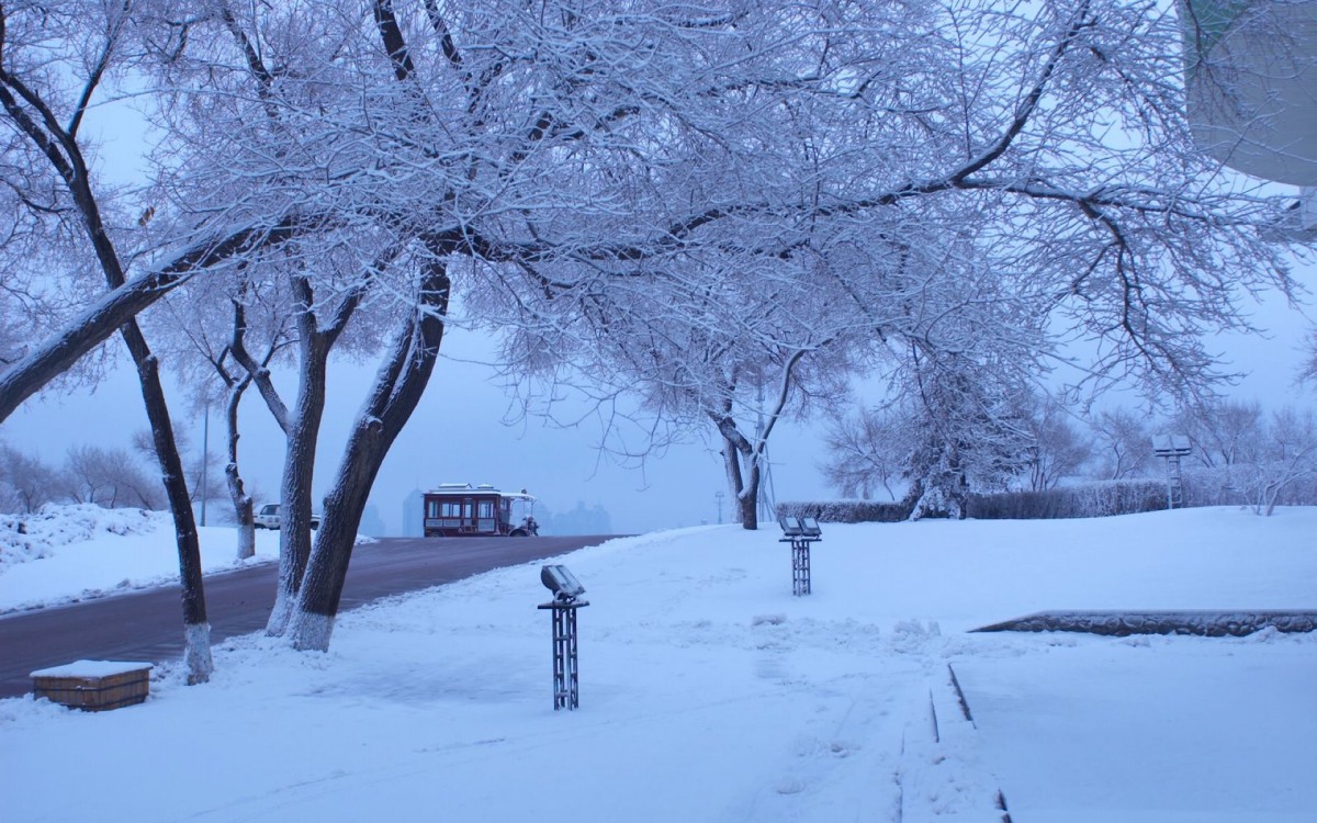 哈尔滨冬天雪景壁纸1320