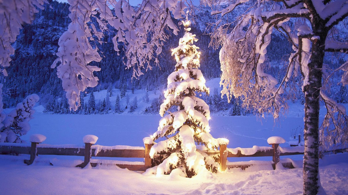 雪夜 雪地夜景唯美壁纸 风景壁纸 高清风景图片 第15图 娟娟壁纸