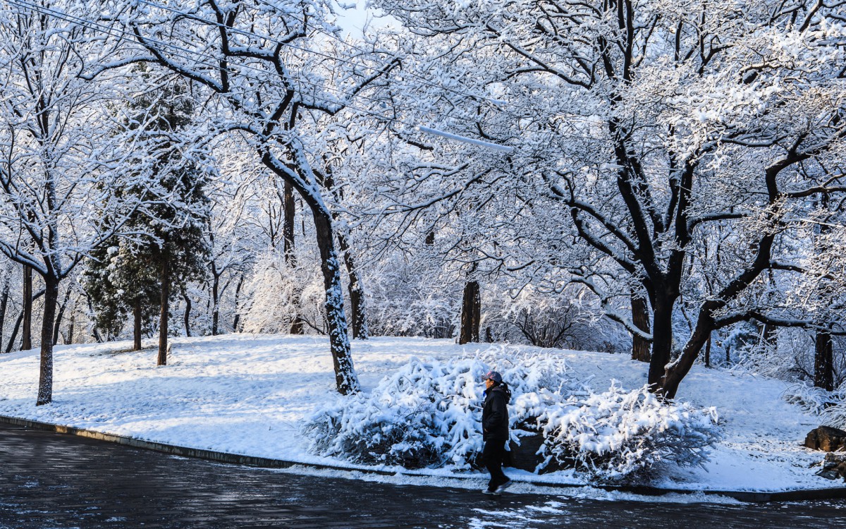 北京玉淵潭公園雪景壁紙88