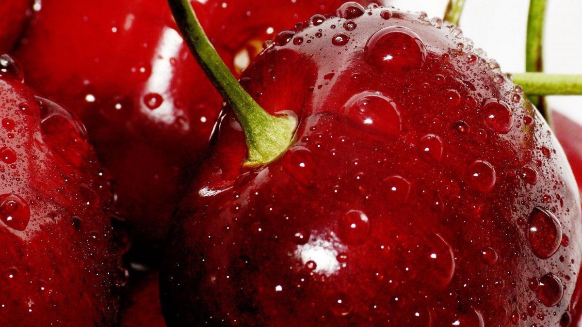 樱桃图片-花卉壁纸-高清花卉图片-第8图-娟娟壁纸