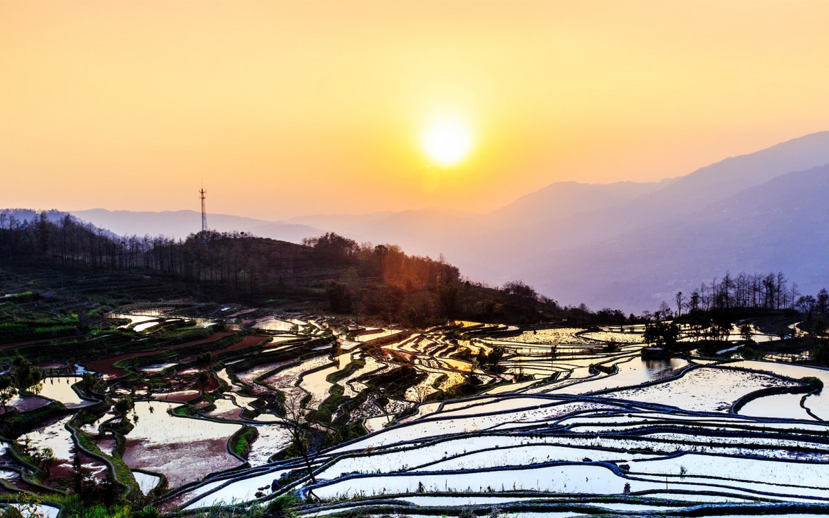 雲南元陽梯田圖片-風景壁紙-高清風景圖片-娟娟壁紙