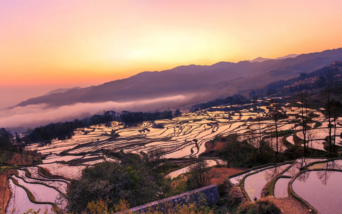 云南元阳梯田图片-风景壁纸-高清风景图片-第6图-娟娟壁纸