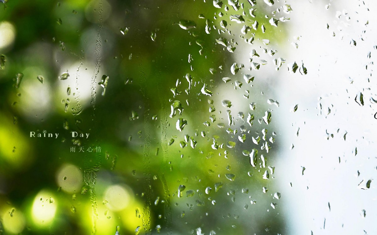 唯美窗外雨滴圖片-靜物壁紙-高清靜物圖片-第6圖-娟娟壁紙