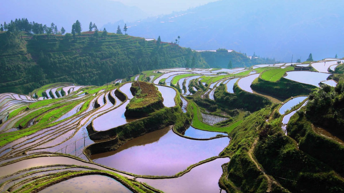 贵州加榜梯田图片-风景壁纸-高清风景图片-第16图-娟娟壁纸
