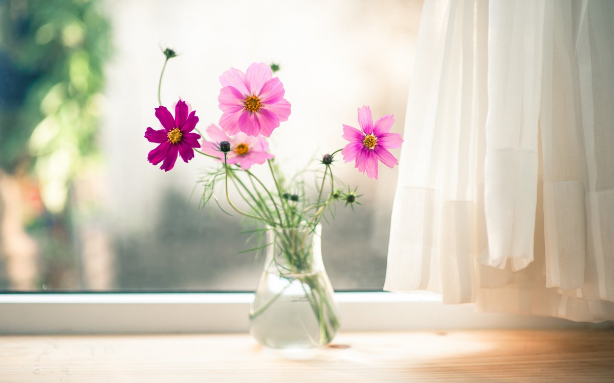 唯美瓶中花桌面壁纸(9/9)