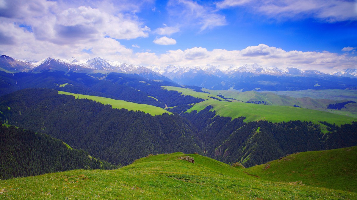 新疆喀拉峻草原風景-風景壁紙-高清風景圖片-第4圖-娟娟壁紙