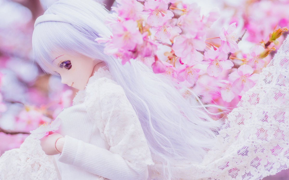 doll少女玩偶图片壁纸1023