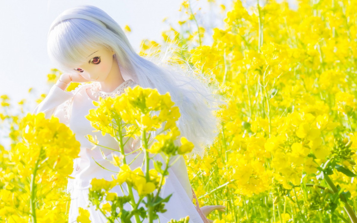 doll少女玩偶图片壁纸1423