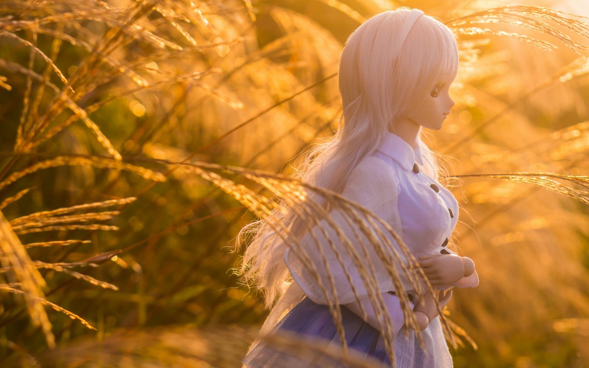 doll少女玩偶图片壁纸923