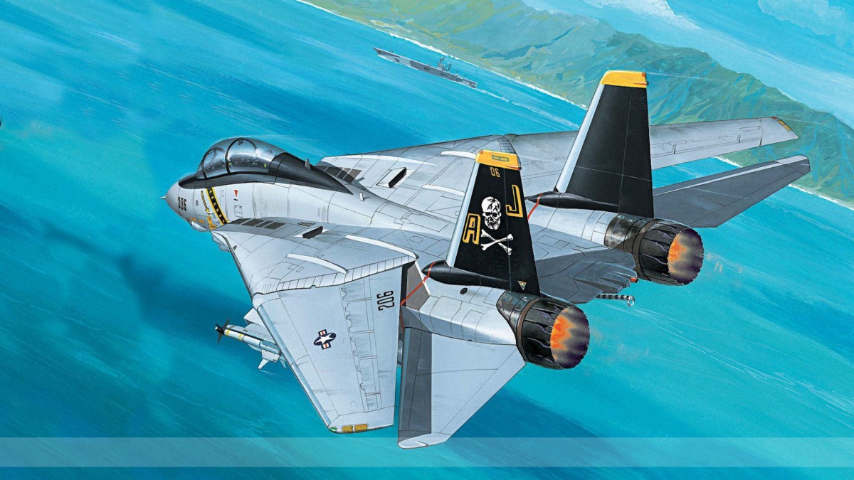 f-14雄猫战斗机图片(4/9)