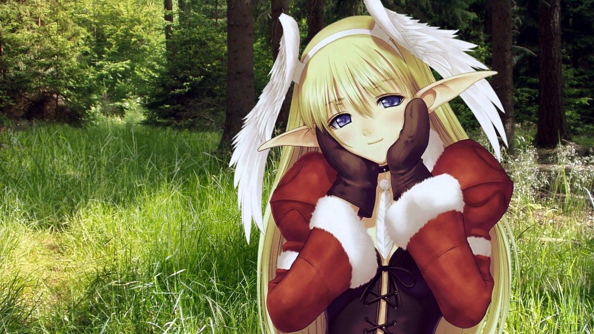 光明之泪桌面壁纸13