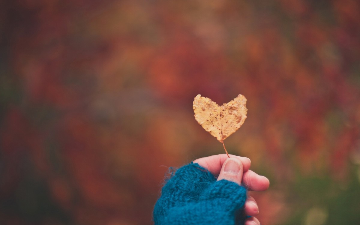 捧在手心里的爱(11/18)