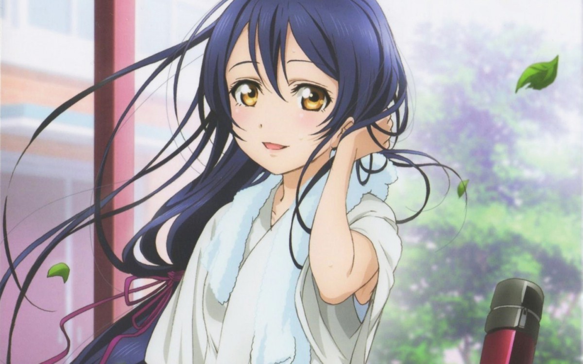 动漫人物园田海未壁纸(3/10)