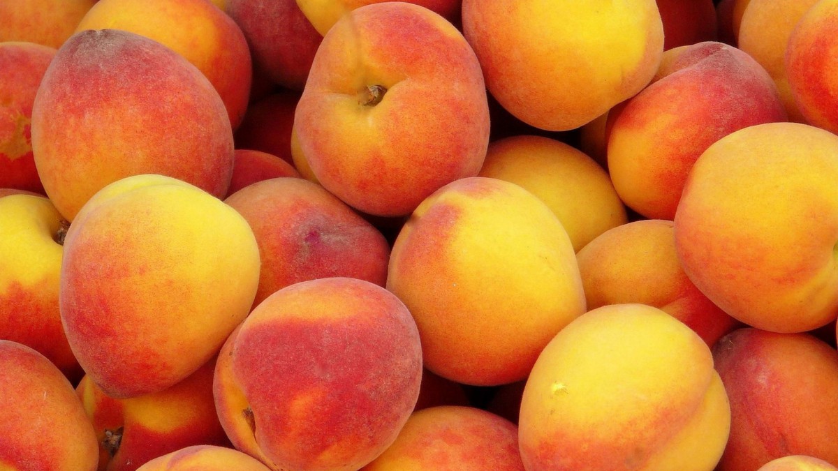 鲜美的桃子图片-花卉壁纸-高清花卉图片-第2图-娟娟壁纸