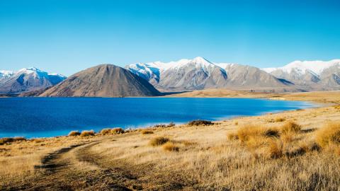 新西兰白鹭湖风景壁纸