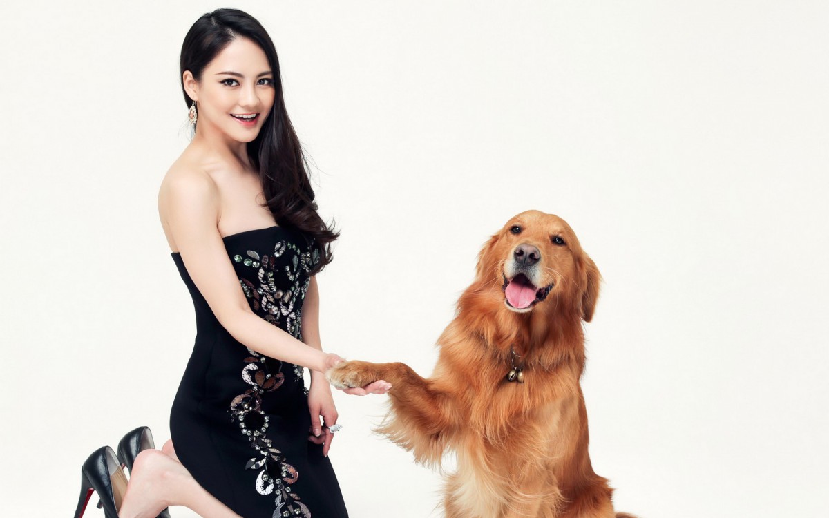 女明星樊蕊壁纸1416