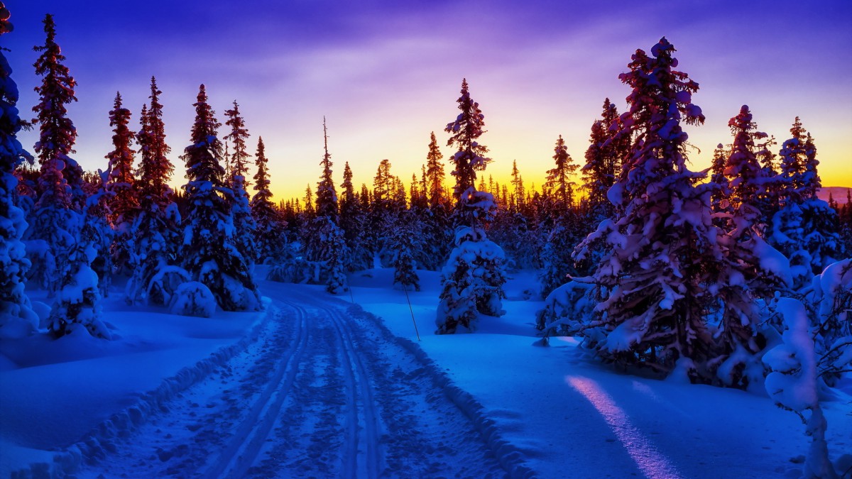 冬季唯美雪景图片壁纸311
