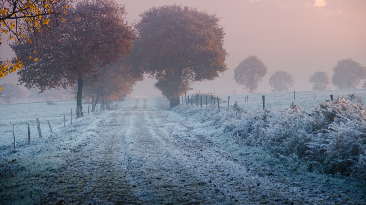 雾中风景桌面壁纸1012