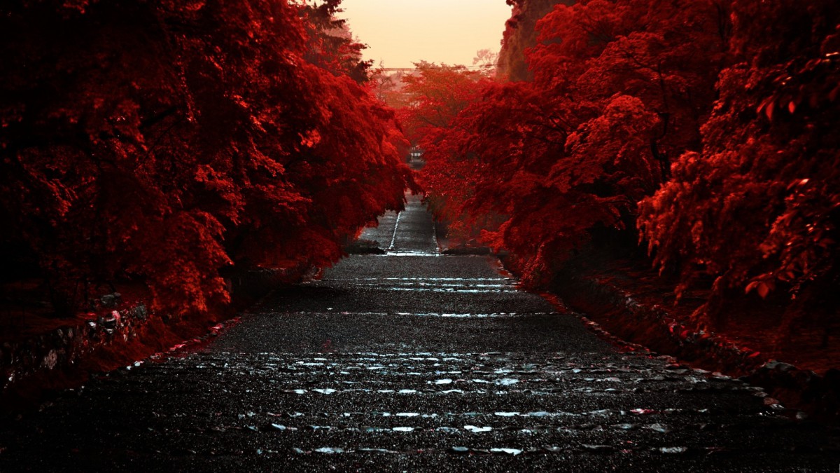 唯美台阶石阶风景壁纸713