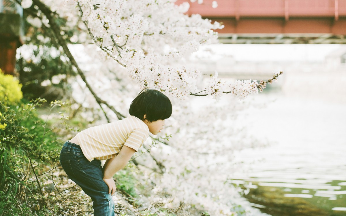 清新童年回忆图片壁纸15