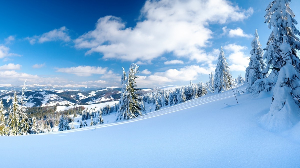 唯美冬季意境雪景壁纸 风景壁纸 高清风景图片 娟娟壁纸