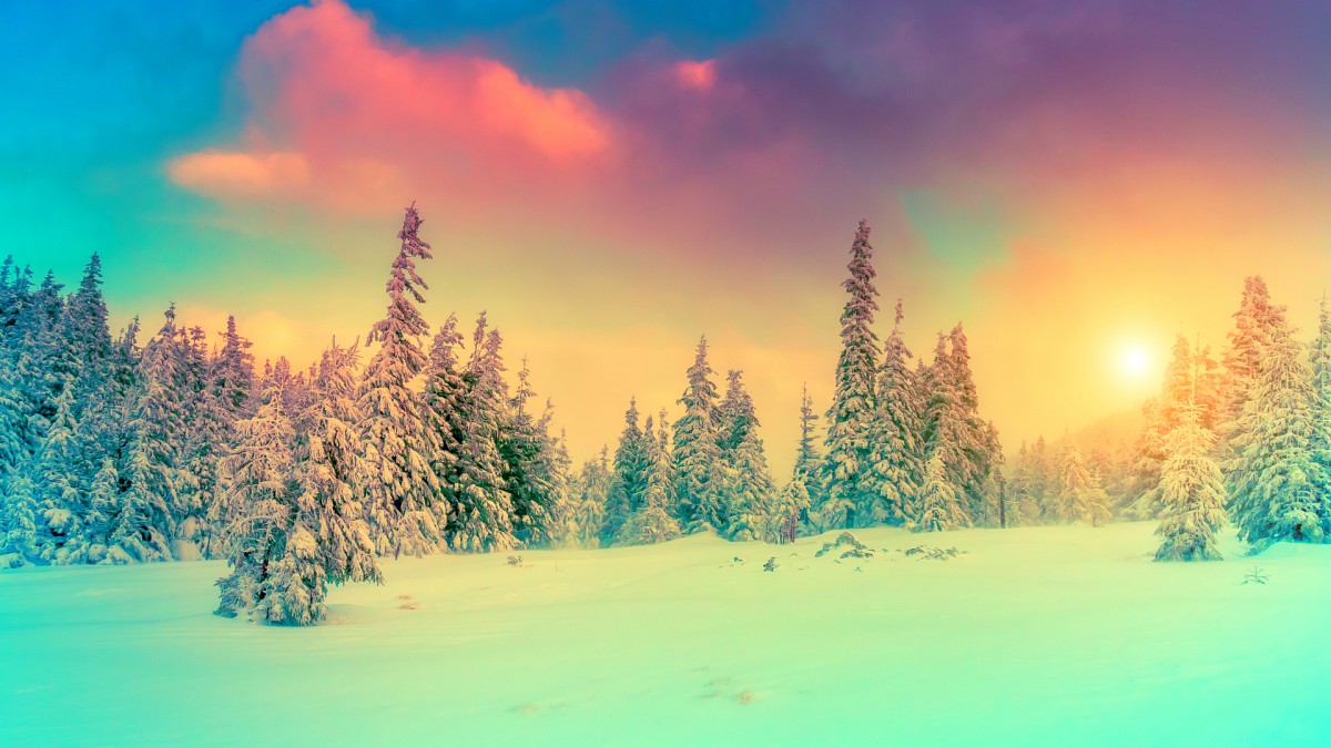 唯美雪景雪地桌面壁纸58