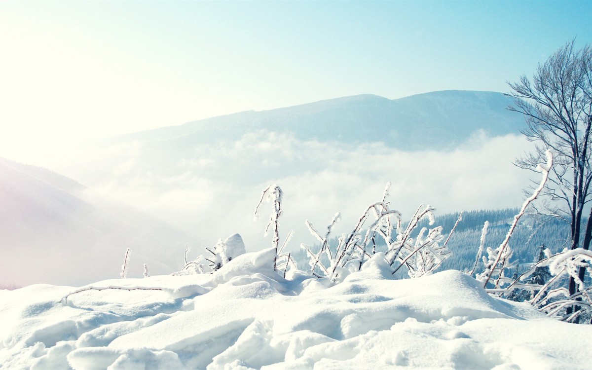 冬季高清雪景圖片壁紙(8/9)