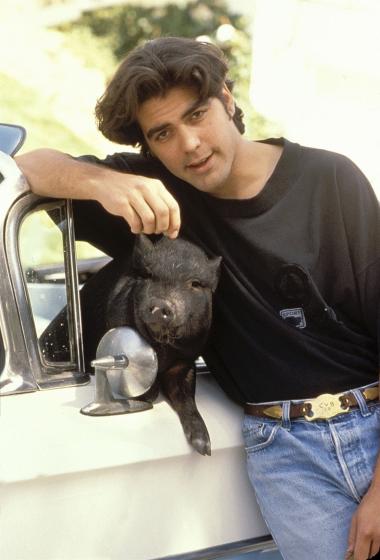 乔治·克鲁尼年轻时英俊休闲写真,乔治·克鲁尼图片-第5图