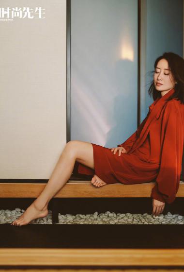 刘敏涛优雅魅力写真图片34