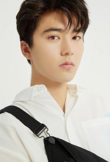 刘奕畅白衬衫清爽帅气写真图片24