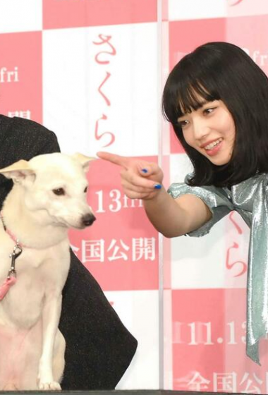 北村匠海小松菜奈甜美帅气活动照图片 小松菜奈图片