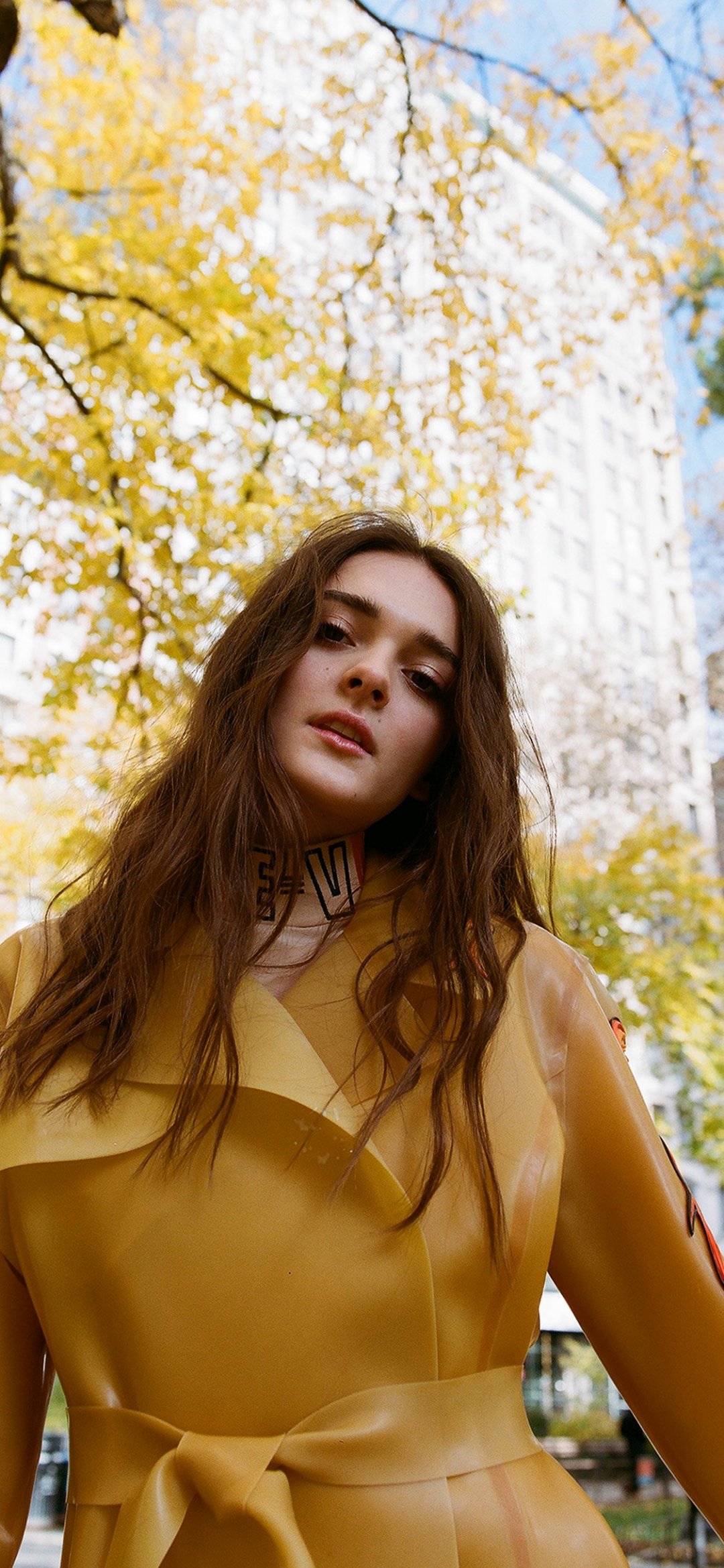 秋季来了欧美长发美女秋季金黄装扮手机背景图片