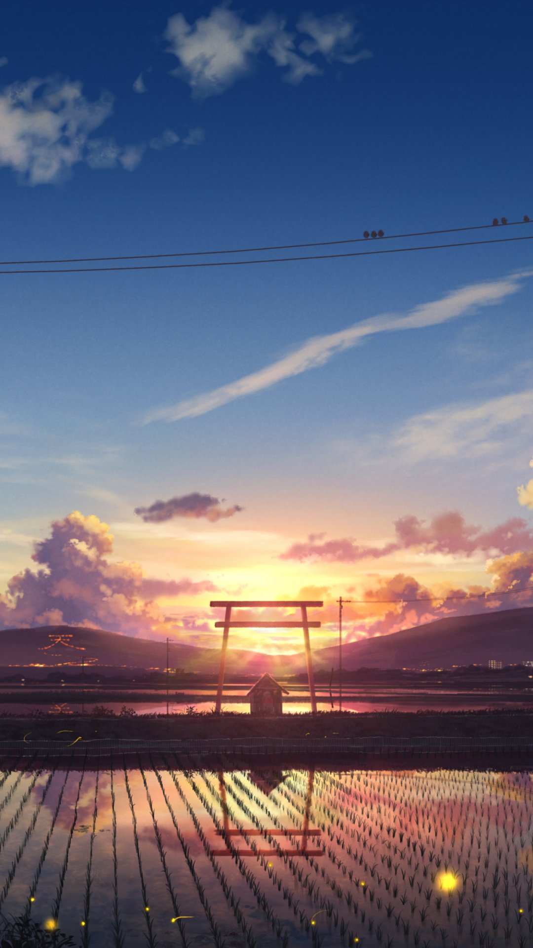 稻田上的唯美夕阳风景,高清图片,手机壁纸