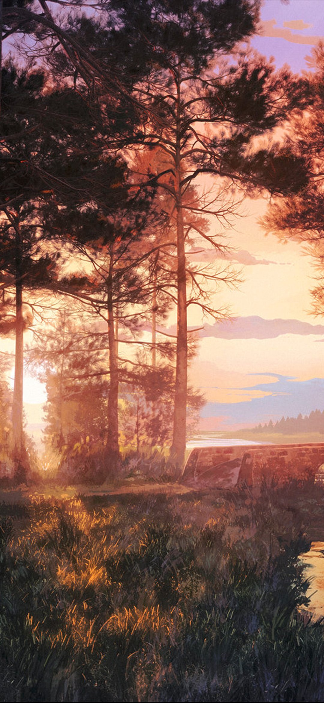 唯美的大自然森林树木