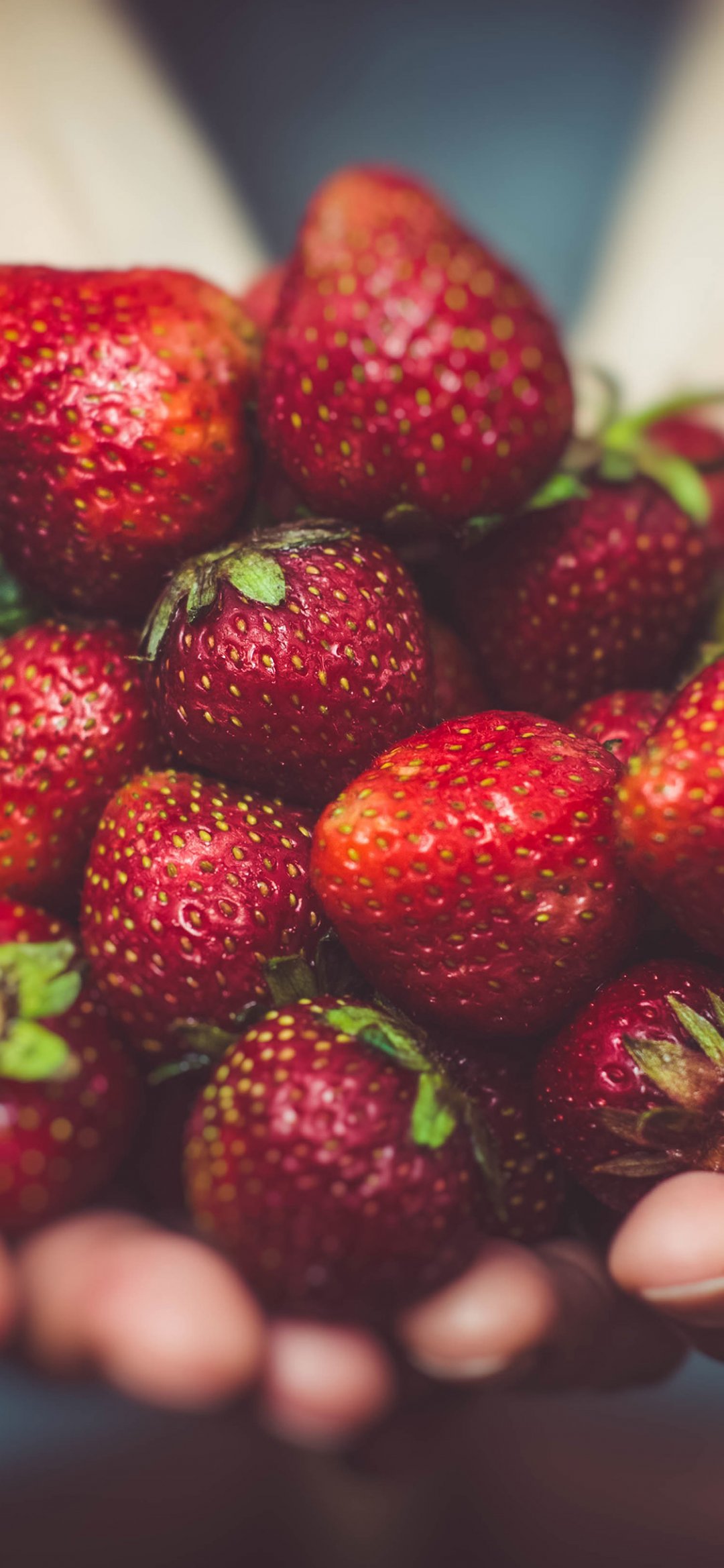 手捧草莓的唯美摄影
