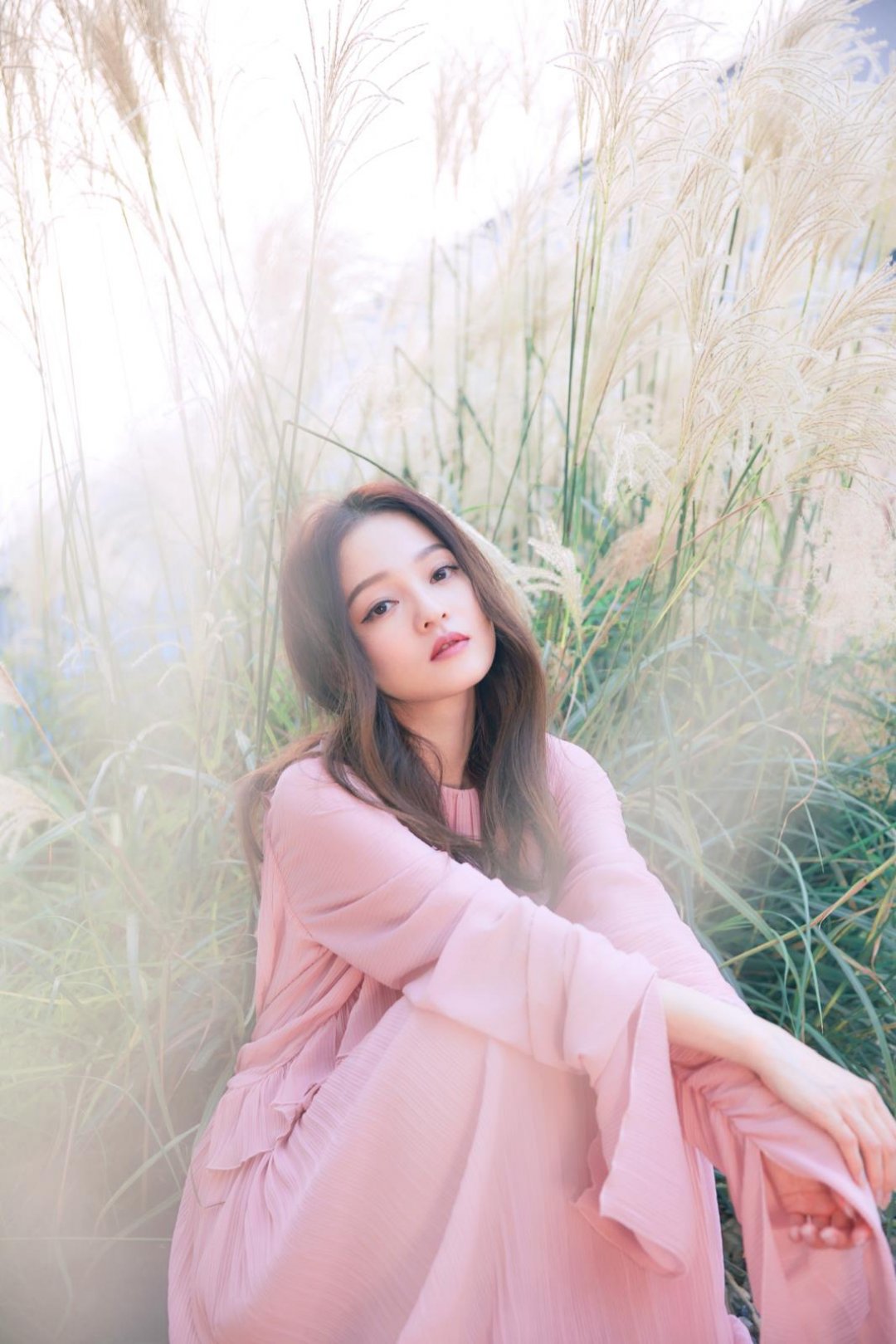 张韶涵芦苇