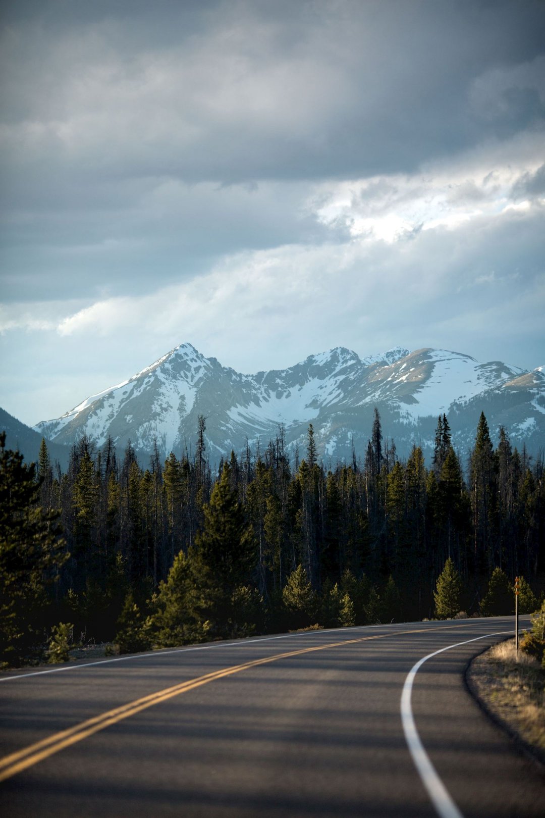林间公路 远方雪山,高清图片,手机壁纸