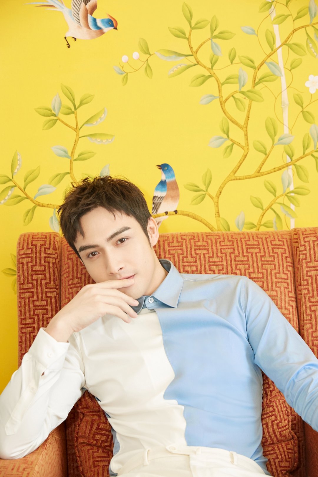 张彬彬娱乐一下