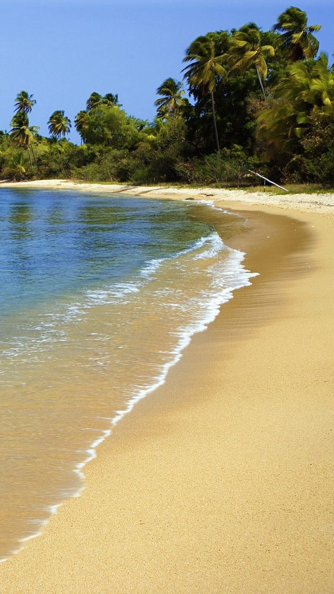 波多黎各海滩沙棕榈树,高清图片,手机壁纸