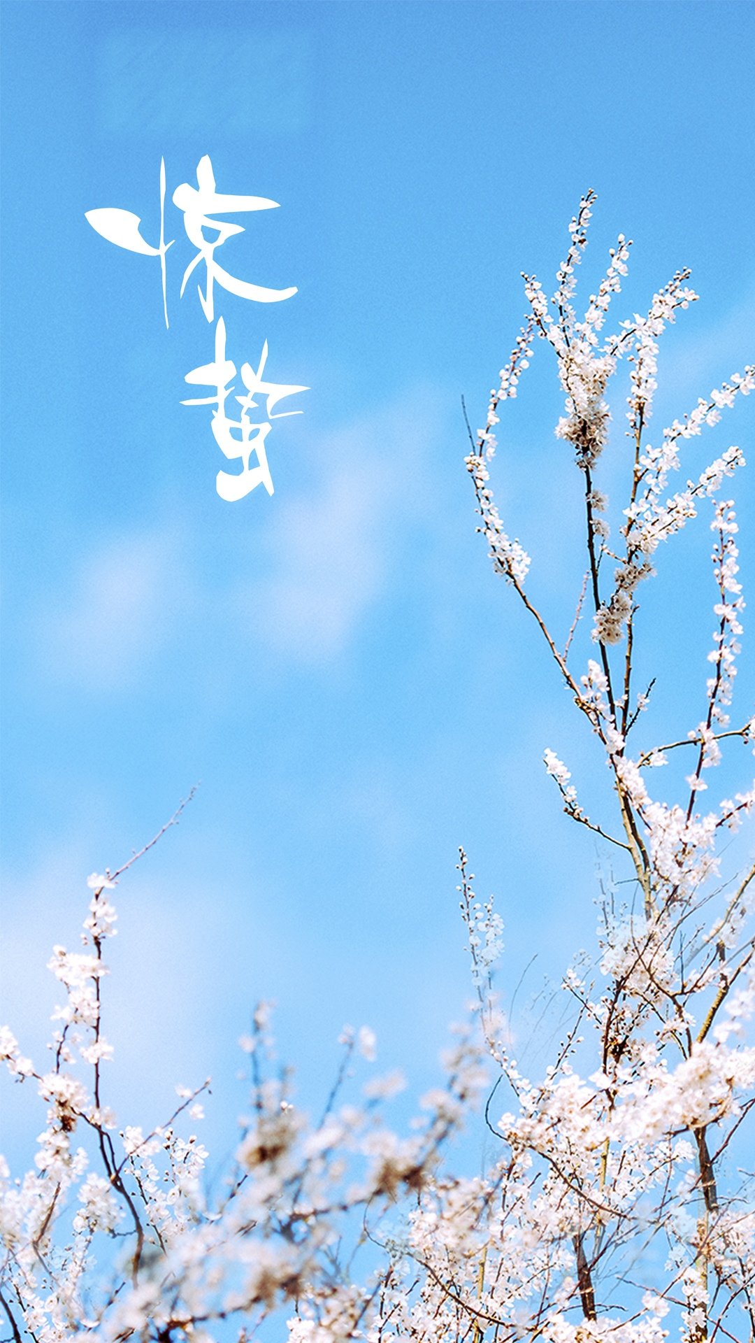 清新简约二十四节气之惊蛰,高清图片,手机壁纸