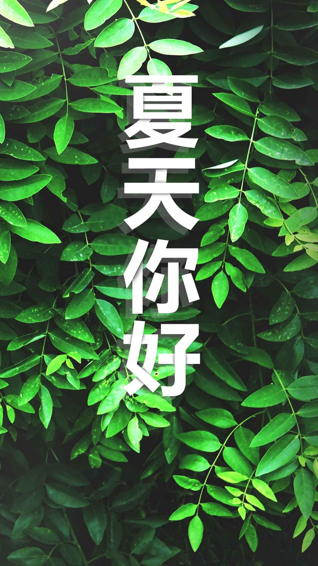 清新绿色夏天你好