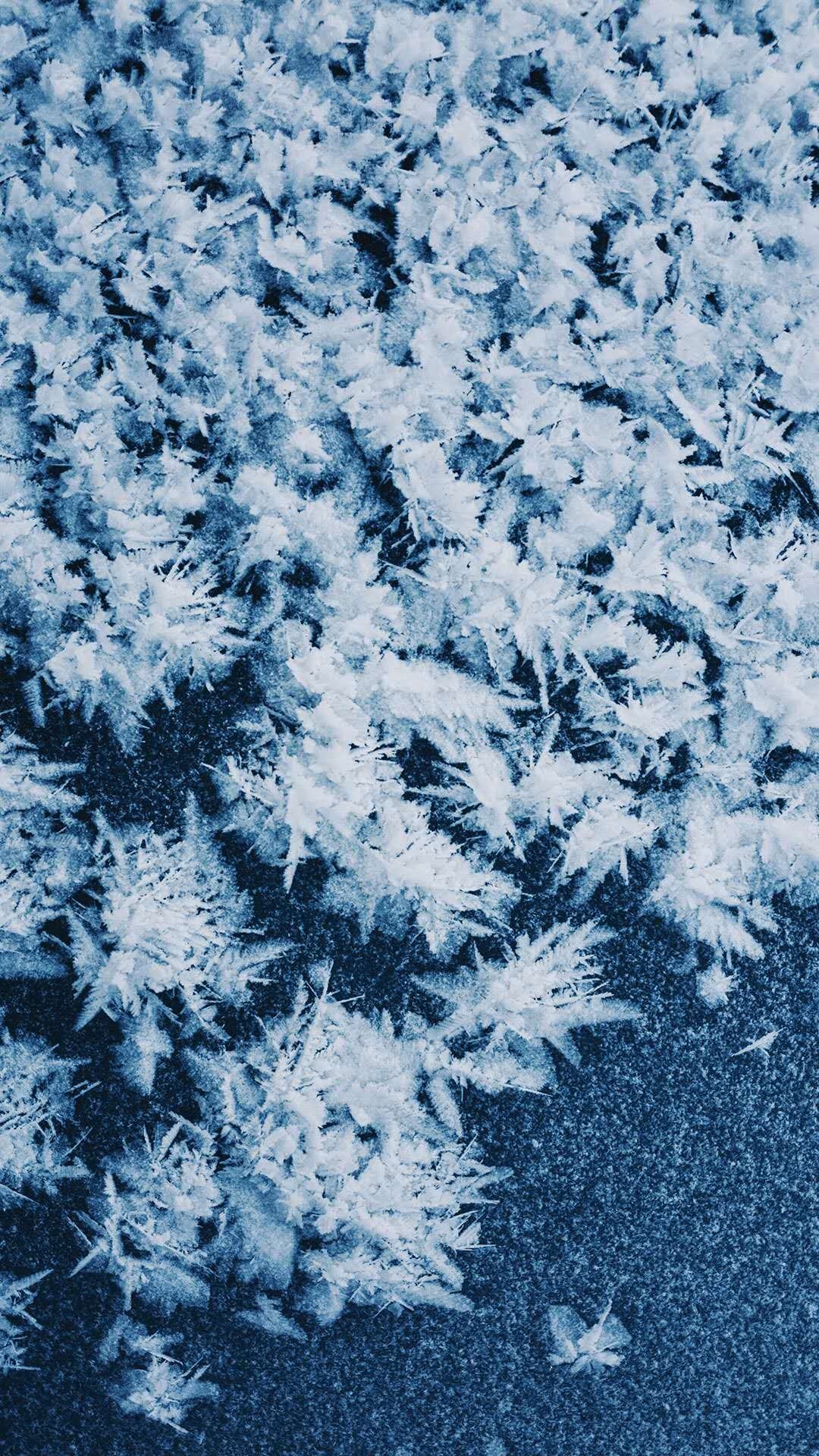 学校的雪,高清图片,手机壁纸