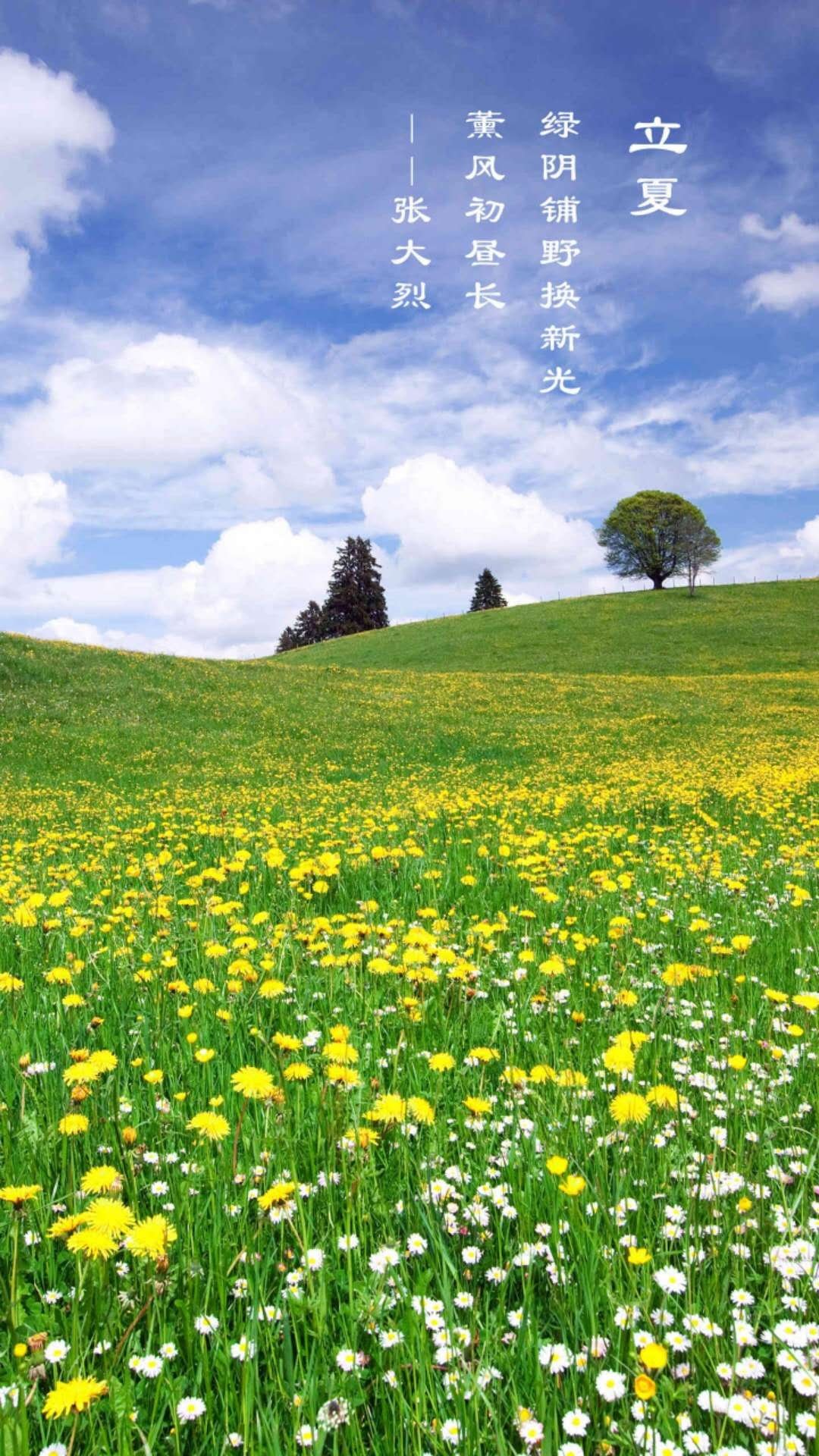 盛夏时节,高清图片,手机壁纸