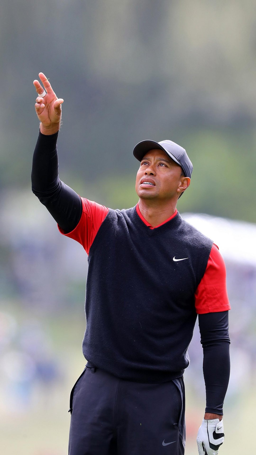 统治力运动员泰格伍兹