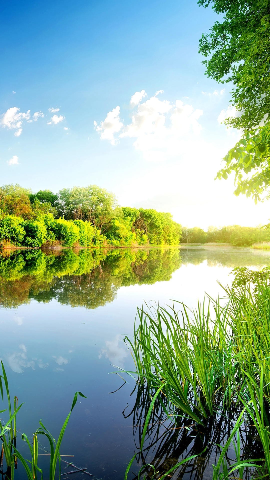 郊野外面的天堂