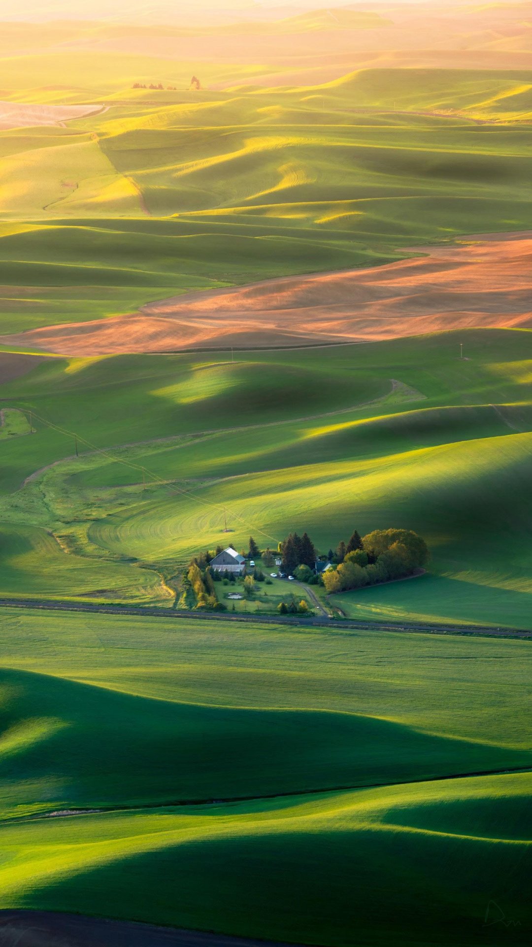 帕卢斯麦浪的诗情画意,高清图片,手机壁纸