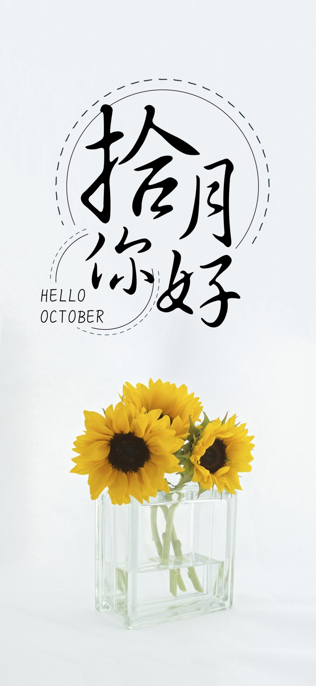 十月你好 小清新向日葵花语 高清图片 手机壁纸
