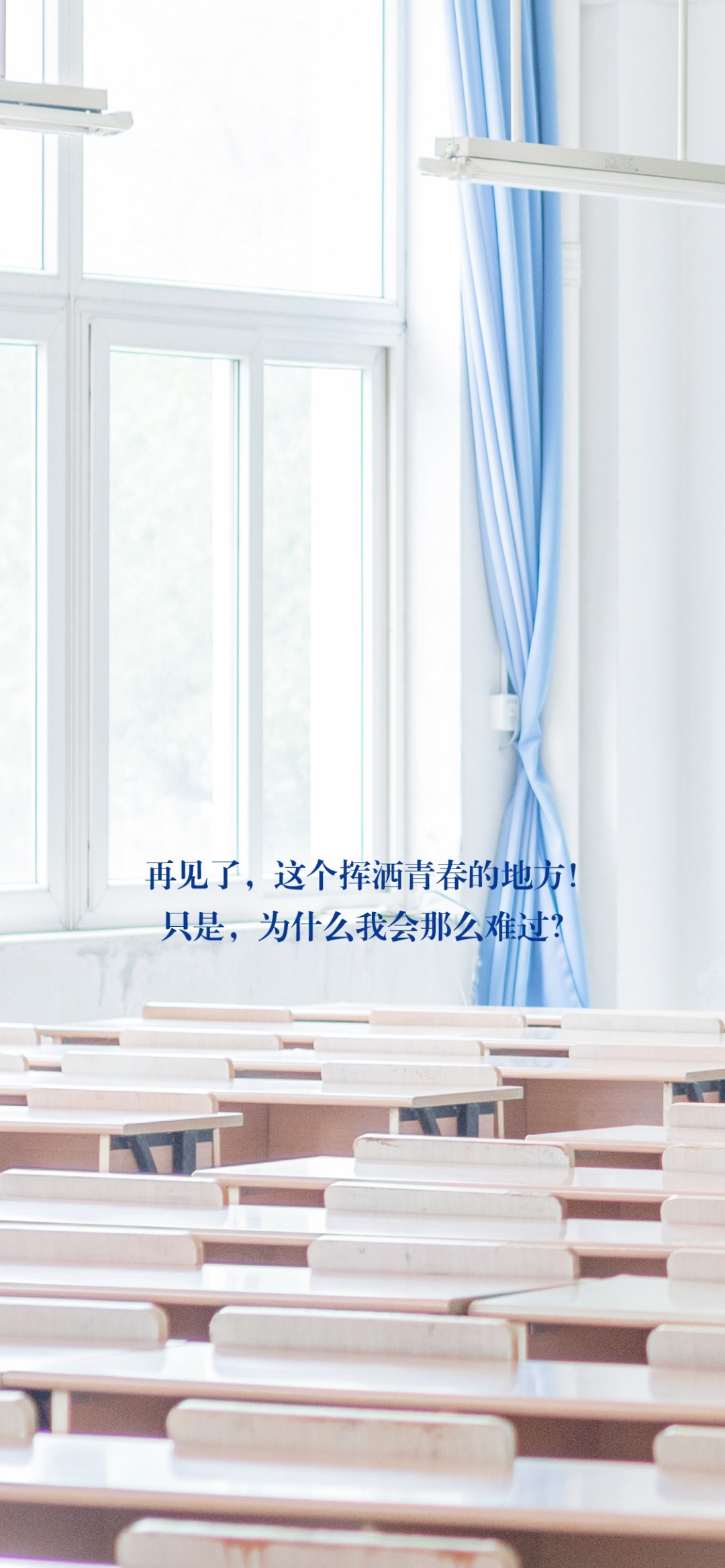 青春旅行,高清图片,手机壁纸