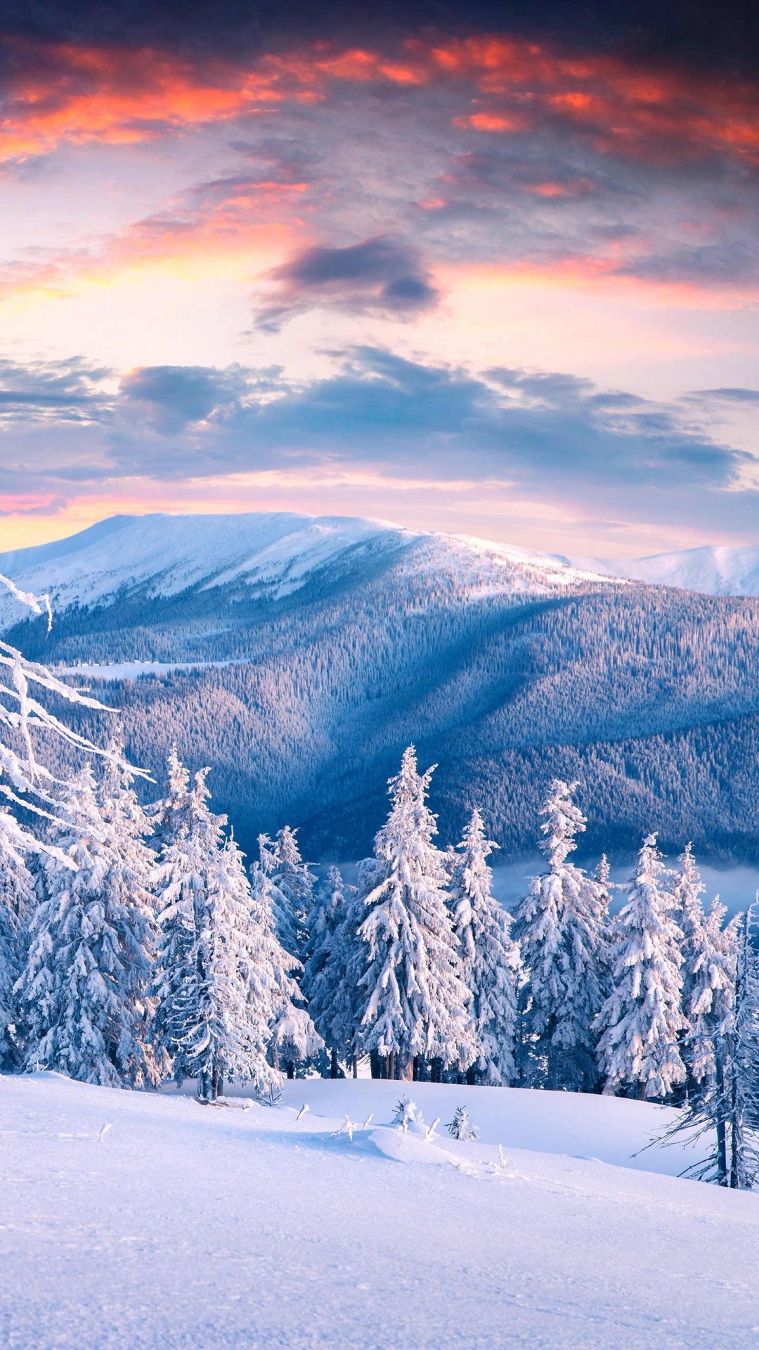 冬天里的雪景 高清图片 手机壁纸